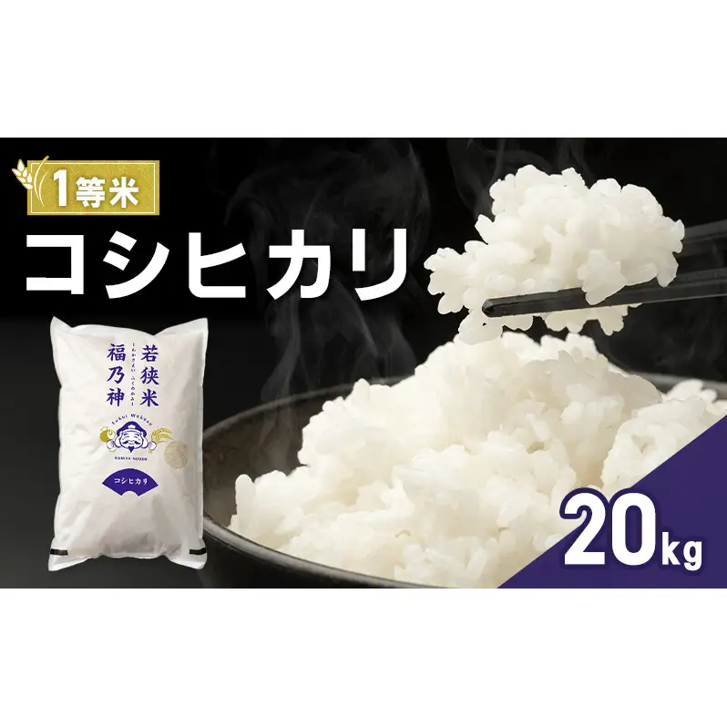 令和7年産 コシヒカリ 20kg（一等米・神谷農園） 米 お米 こしひかり 若狭町