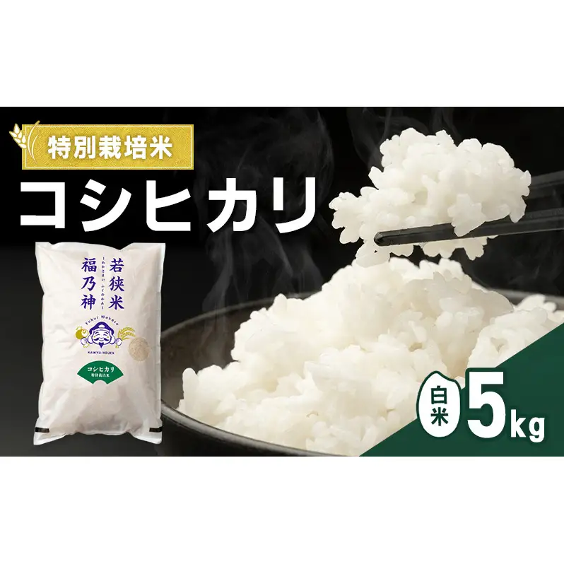 令和7年産 特別栽培米 コシヒカリ 5kg（白米） 米 お米 こしひかり 若狭町