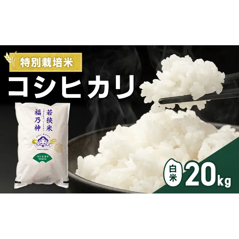 令和7年産 特別栽培米 コシヒカリ 20kg（白米） 米 お米 こしひかり 若狭町
