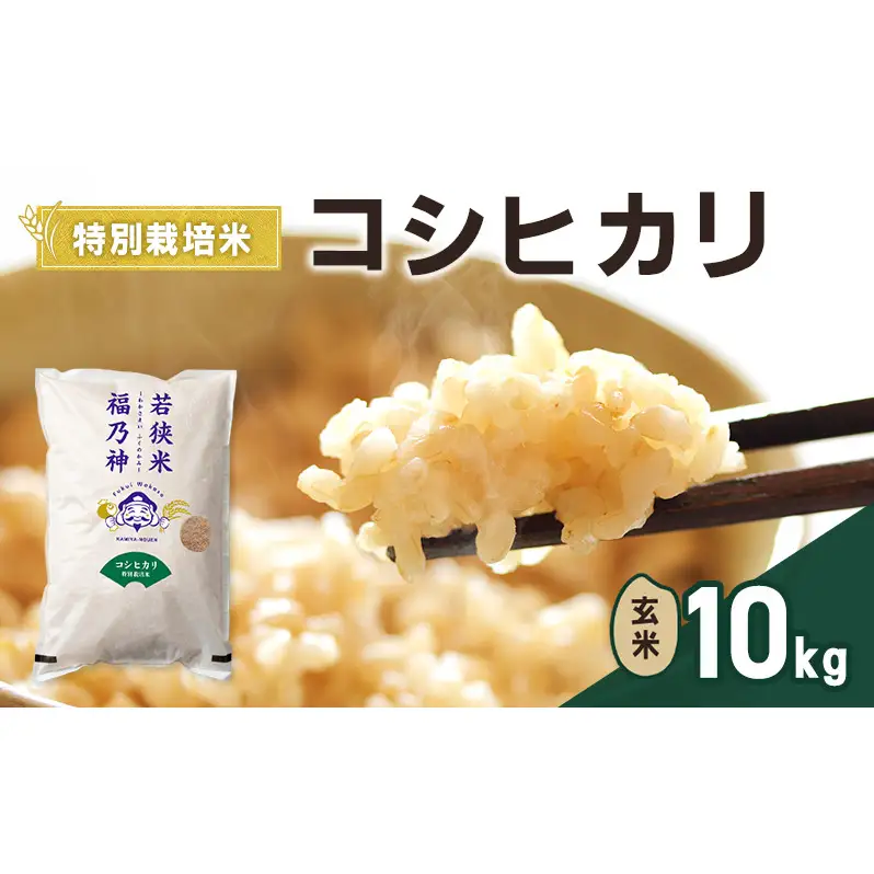 令和8年産 特別栽培米 コシヒカリ 10kg（玄米） 米 お米 こしひかり 若狭町