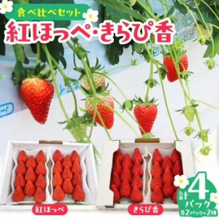 【先行受付2027年発送】人気の紅ほっぺ・きらぴ香食べ比べセット(各4パック計8パック約2080g)【配送不可地域：離島・北海道・沖縄県・四国・九州】【1676911】
