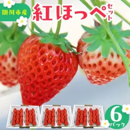 【先行受付2027年発送】紅ほっぺセット(8パック約2080g)甘さと酸味がほどよく爽やかないちご【配送不可地域：離島・北海道・沖縄県・四国・九州】【1676924】