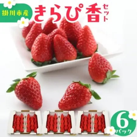 【先行受付2027年発送】きらぴ香セット(6パック約1560g)酸味は控えめで濃厚な甘さのいちご【配送不可地域：離島・北海道・沖縄県・四国・九州】【1676945】
