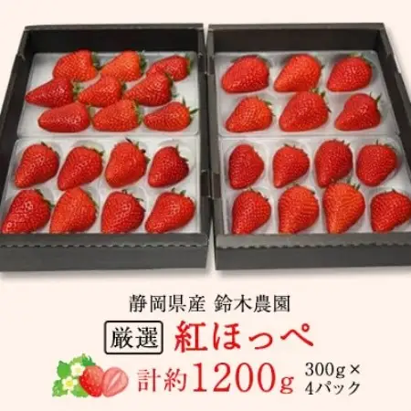 【2027年発送　先行受付】静岡県産いちご「厳選紅ほっぺ」4パック　約1.2kg【配送不可地域：離島・北海道・沖縄県・東北・中国・四国・九州】【1689359】