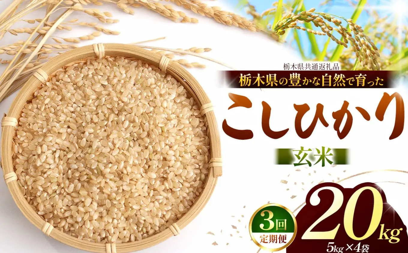 【栃木県共通返礼品】【定期３回】【令和８年度産】コシヒカリ 20kg お米 米 | 栃木県 那珂川町 送料無料