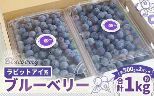 ラビットアイ系 ブルーベリー 約500g × 2パック 合計約1kg くだもの 果物 フルーツ 果実 果汁 果肉 新鮮 国産 岡山県産 旬 ジャム プレゼント ギフト 贈り物 贈答品 贈答 【 2026年7月上旬～8月上旬発送予定 】