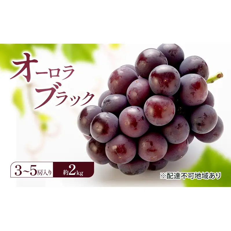 ぶどう 2026年 先行予約 オーロラブラック (3～5房) 約2kg 岡山県 赤磐市 ブドウ 葡萄 果物 フルーツ