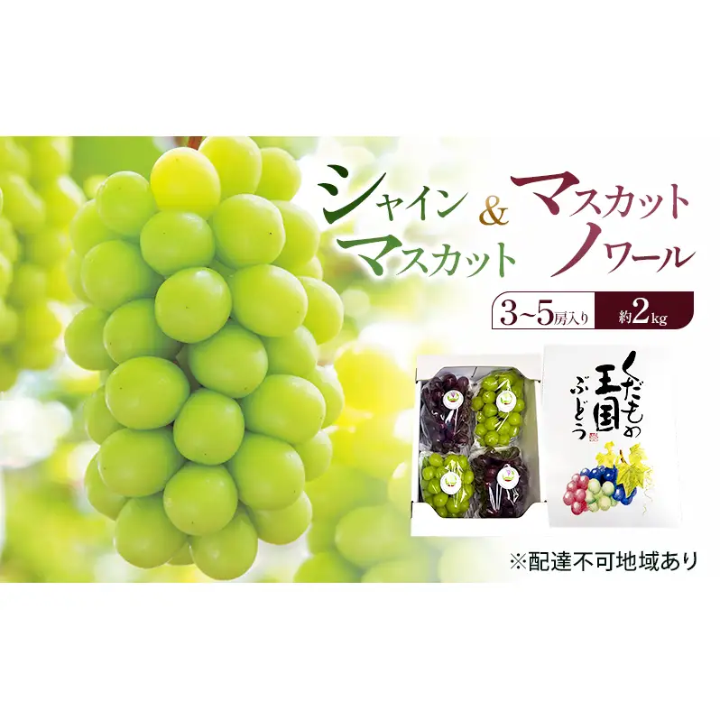 ぶどう 2026年 先行予約 シャインマスカット ＆ マスカットノワール  (3～5房) 約2kg 岡山県 赤磐市 ブドウ 葡萄 果物 フルーツ