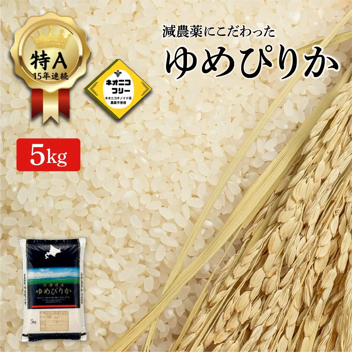 令和7年産 アグリプロ未来のゆめぴりか 5kg【a178-001】