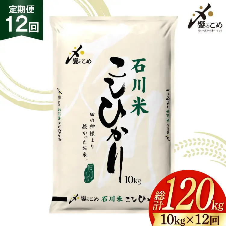 【ふるなび限定】 米 定期便 石川米 こしひかり 10kg 12回 FN-Limited-SP