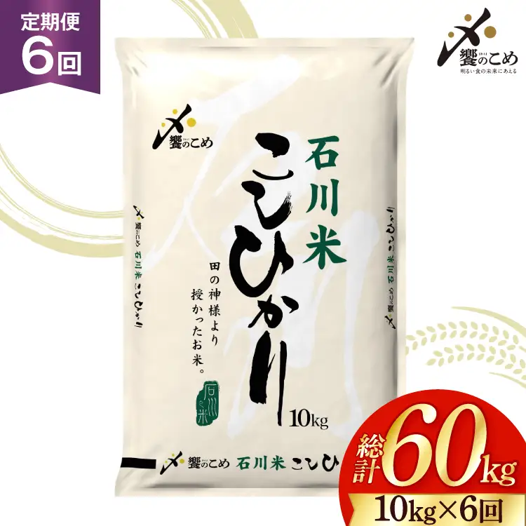 【ふるなび限定】 米 定期便 石川米 こしひかり 10kg 6回 FN-Limited-SP