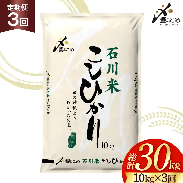 【ふるなび限定】 米 定期便 石川米 こしひかり 10kg 3回 FN-Limited-SP