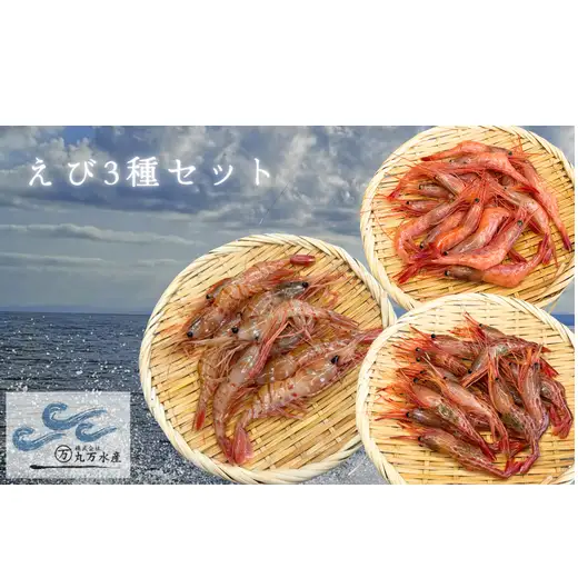 8-018-018　えび3種セット(甘えび・ボタンエビ・シマエビ)