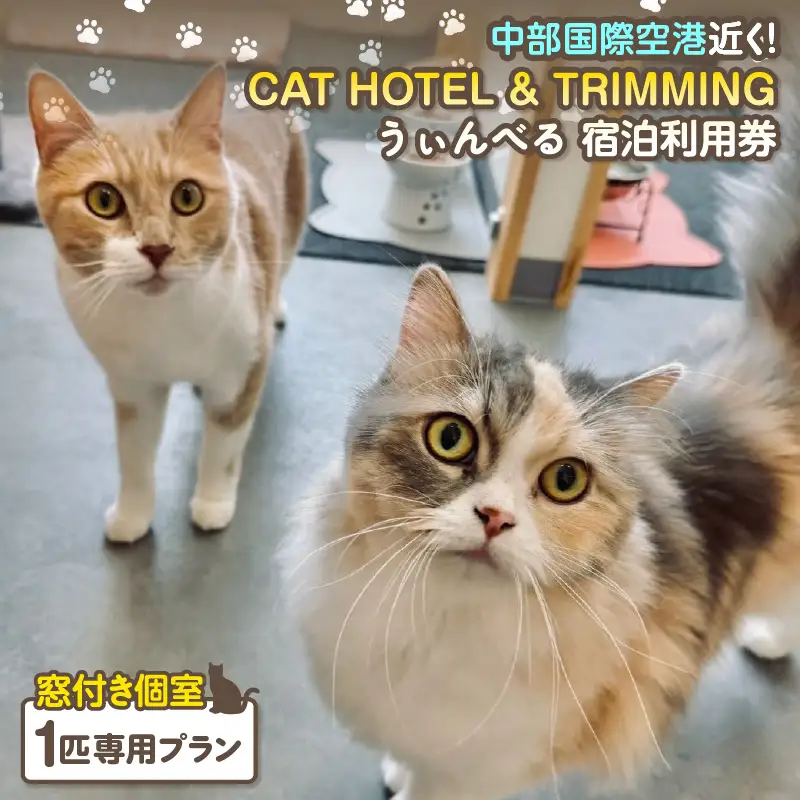 CAT HOTEL & TRIMMING　うぃんべる　宿泊利用券　1匹専用プラン│ペットホテル 宿泊券 猫 1泊2日 愛知県 常滑市