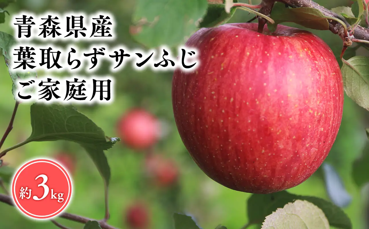 【2026年5～6月発送】【訳あり】家庭用葉とらずサンふじ3ｋｇ【そと川りんご園】【hi-0053-084】