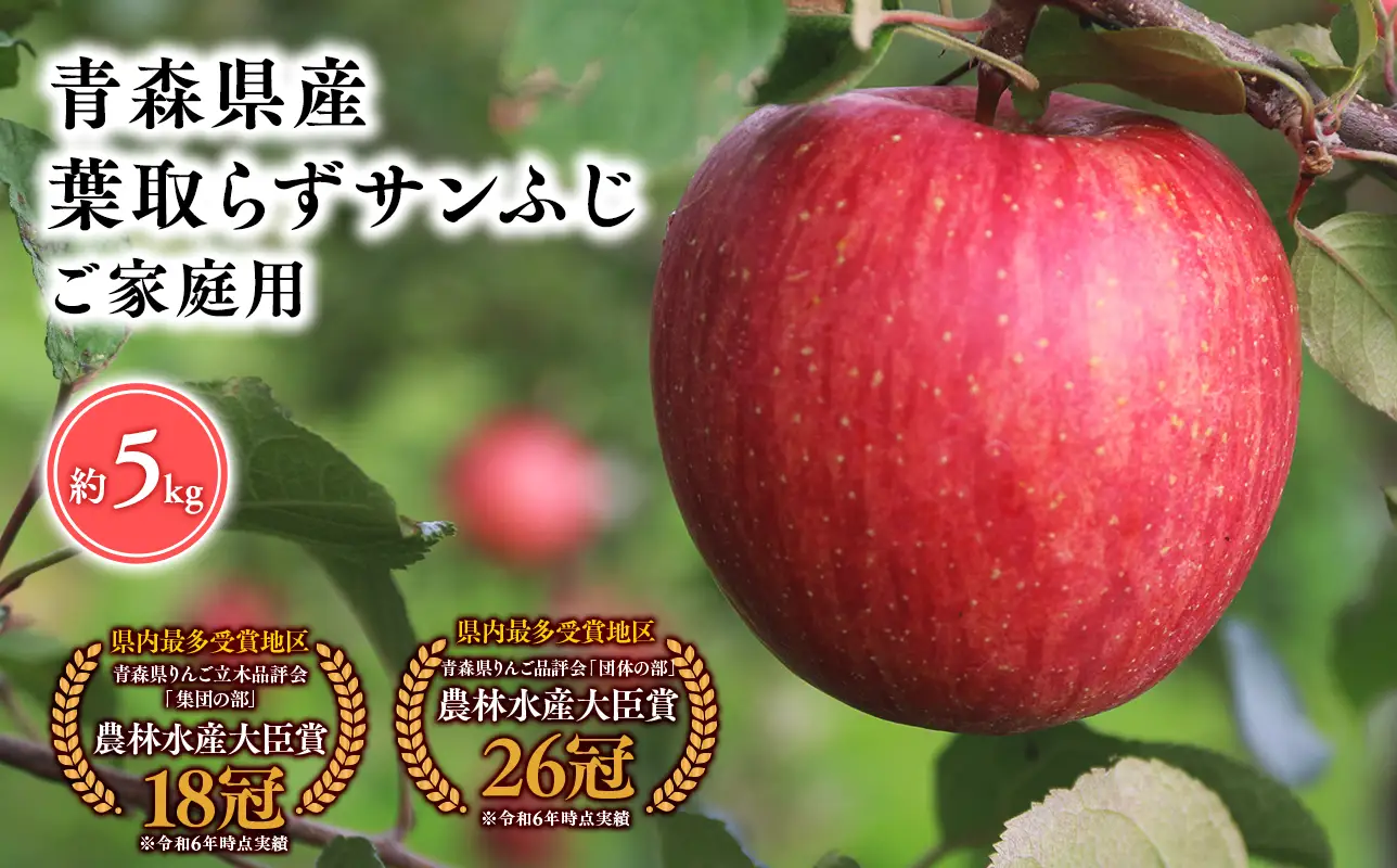 【2025年5～6月発送】【訳あり】家庭用葉とらずサンふじ5ｋｇ【そと川りんご園】[hi-0053-085]
