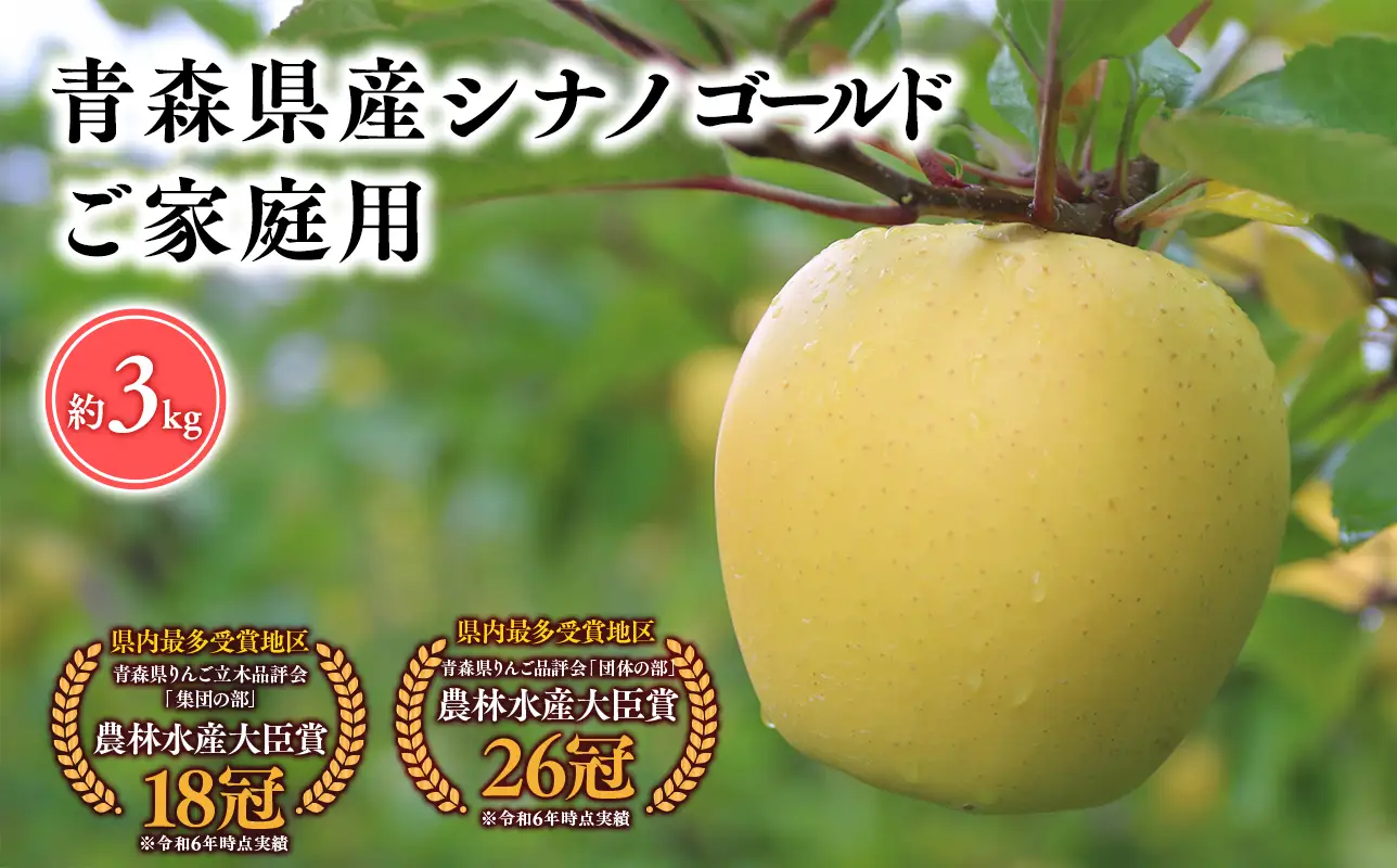 【2026年5～6月発送】家庭用シナノゴールド3kg【そと川りんご園】[hi-0053-086]