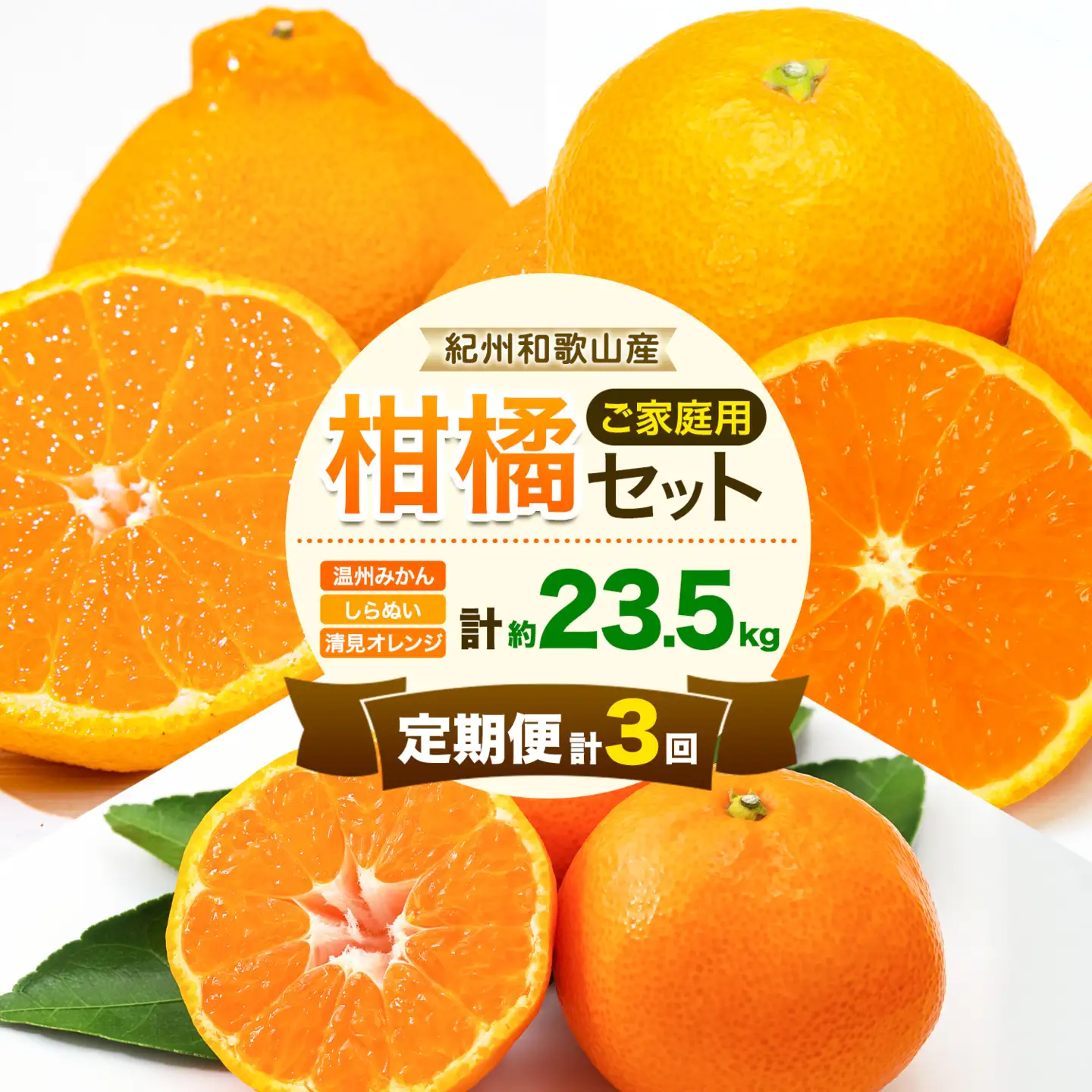 紀州 和歌山産 旬の ご家庭用 柑橘 セット L  (みかん 不知火 清見)【全３回】 株式会社魚鶴