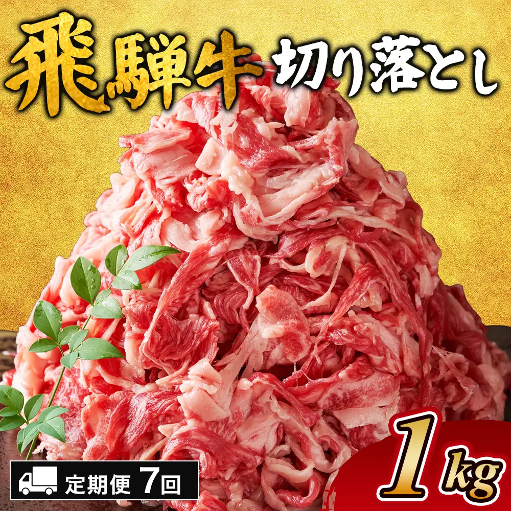 【7ヵ月定期便】飛騨牛切り落とし 1kg ｜国産 和牛 牛肉
