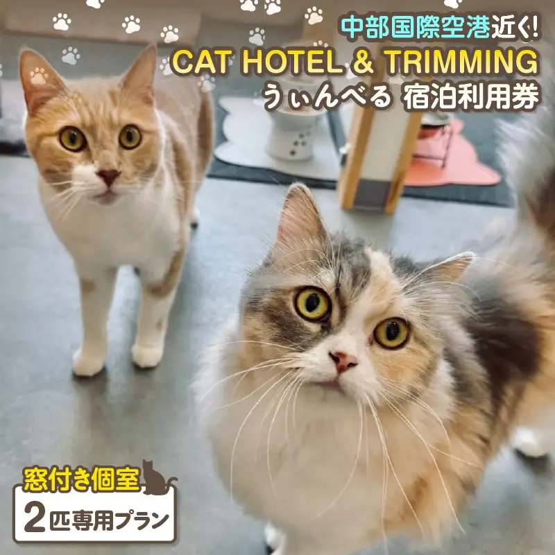 CAT HOTEL & TRIMMING　うぃんべる　宿泊利用券　2匹専用プラン│ペットホテル 宿泊券 猫 1泊2日 愛知県 常滑市