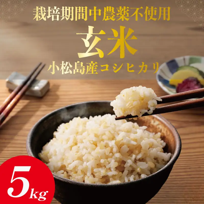 【令和7年産】玄米 5kg コシヒカリ 令和7年産 米 こめ ご飯 ごはん おにぎり 卵かけご飯 白米 栽培期間中農薬不使用 食品 備蓄 備蓄米 保存 防災 ギフト 贈答 プレゼント お取り寄せ グルメ 送料無料 徳島県