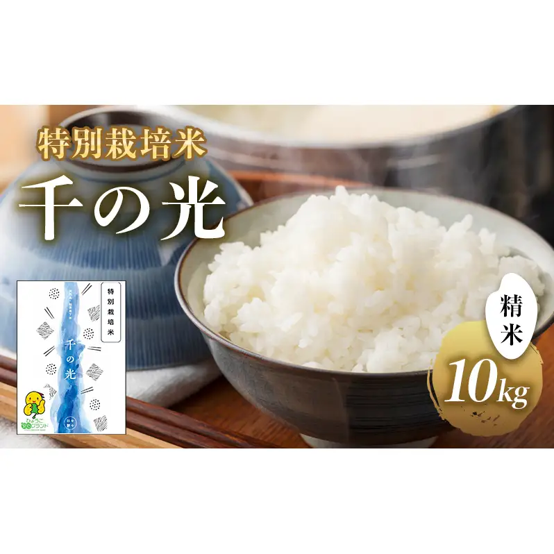 特別栽培米 「 千の光 」　( 精米 )　10kg　米 お米 ごはん 特別栽培 兵庫県 洲本市 淡路島 鮎原塔下