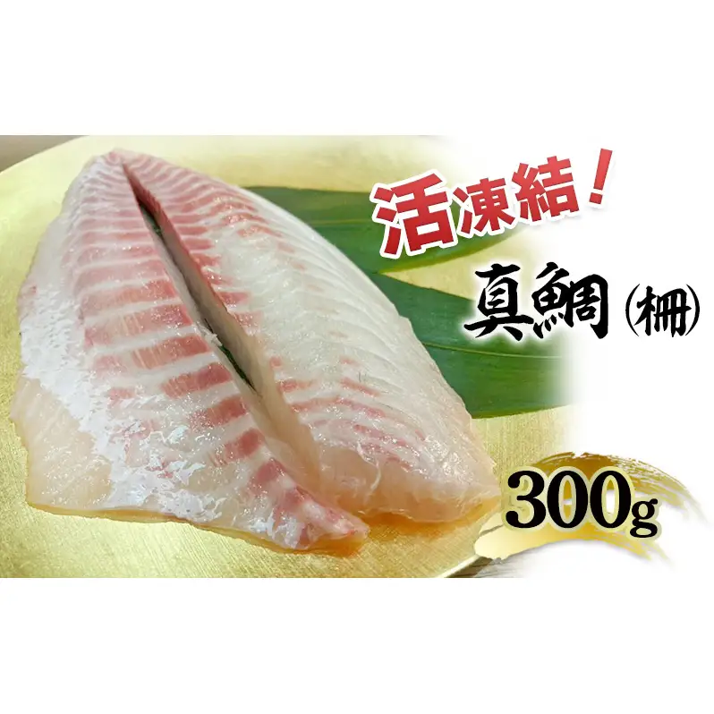 活凍結シリーズ　活凍結 真鯛 300g たい タイ 魚介 海鮮 高級魚 急速凍結 鮮度保持 真空パック 便利 ギフト 贈答用 兵庫県 洲本市 淡路島