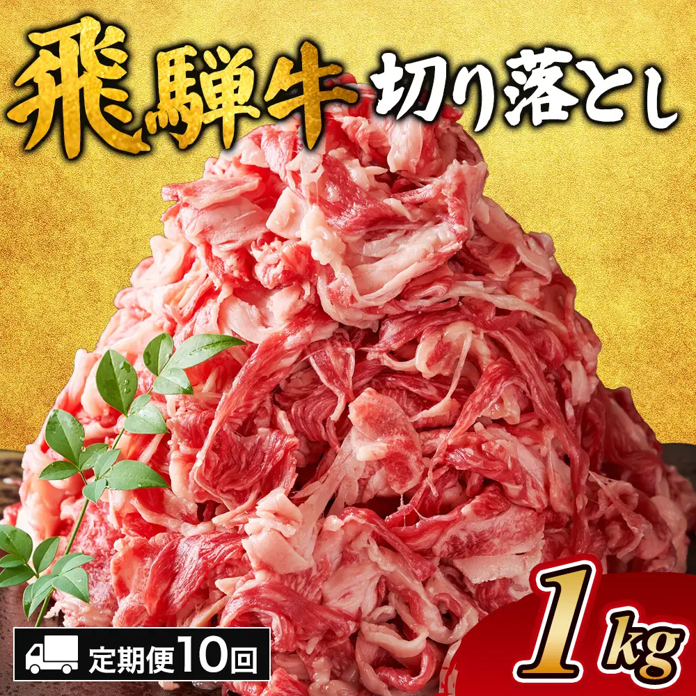 【10ヵ月定期便】飛騨牛切り落とし 1kg ｜国産 和牛 牛肉
