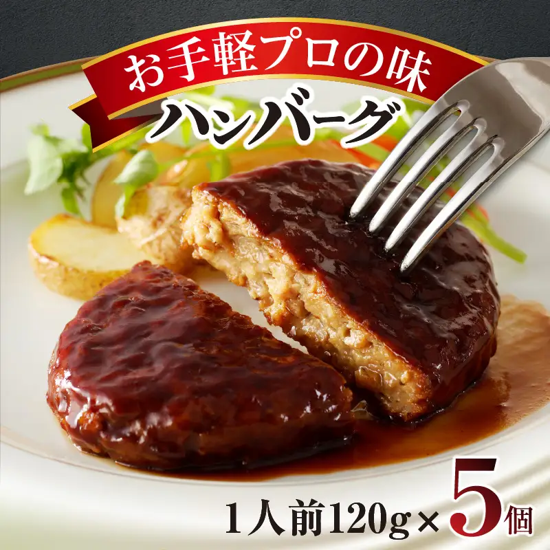 お手軽プロの味のハンバーグ　ハンバーグ１人前１２０ｇ×５個	_19-258-1
