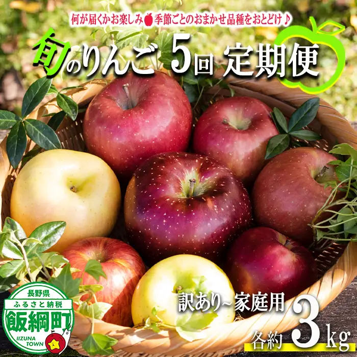【 定期便 】 旬のりんご 品種おまかせ 家庭用 〜 訳あり 3kg × 5回 永野農園 沖縄県への配送不可 2026年8月上旬頃から2026年12月中旬頃まで順次発送予定 令和8年度収穫分 信州 果物 フルーツ リンゴ 林檎 8月 9月 10月 11月 12月 長野 予約 農家直送 長野県 飯綱町 [1954]