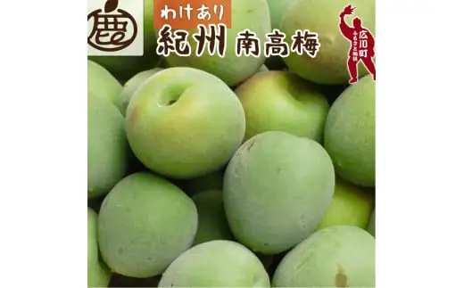 青梅 訳あり 南高梅 15kg+250g（痛み補償分） / 梅 梅ジュース 梅酒 梅干し 家庭用 和歌山 ※5月~6月発送予定 ※北海道・沖縄・離島への配送不可【ikd508-c-15】
