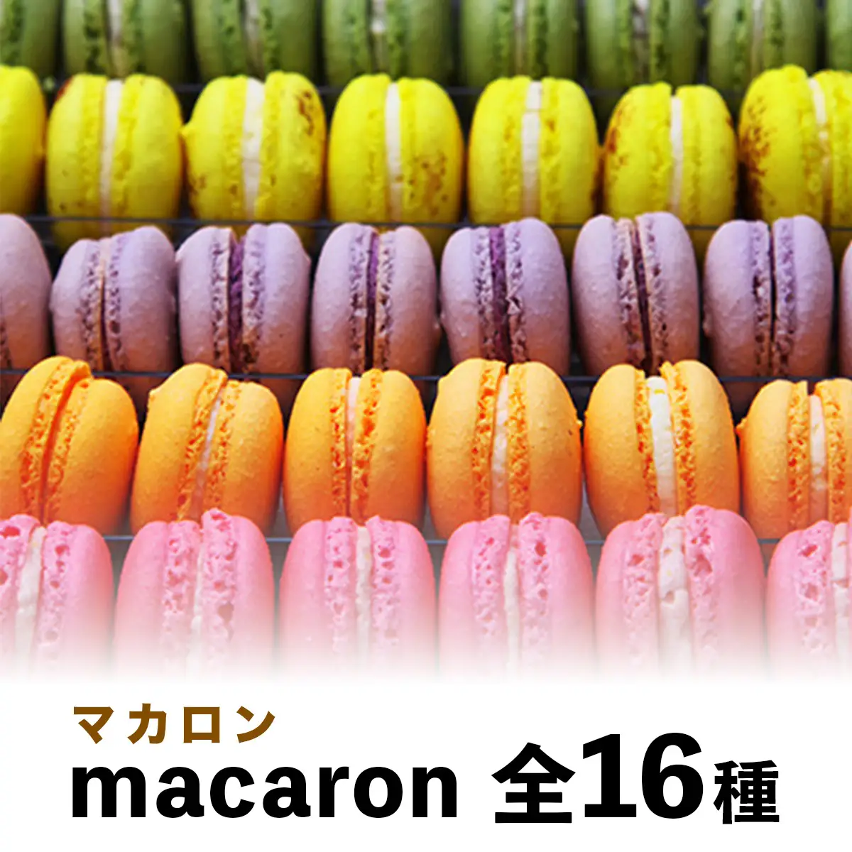 アミエル人気のころんと可愛いマカロン詰合せセット 全16種 [0627]