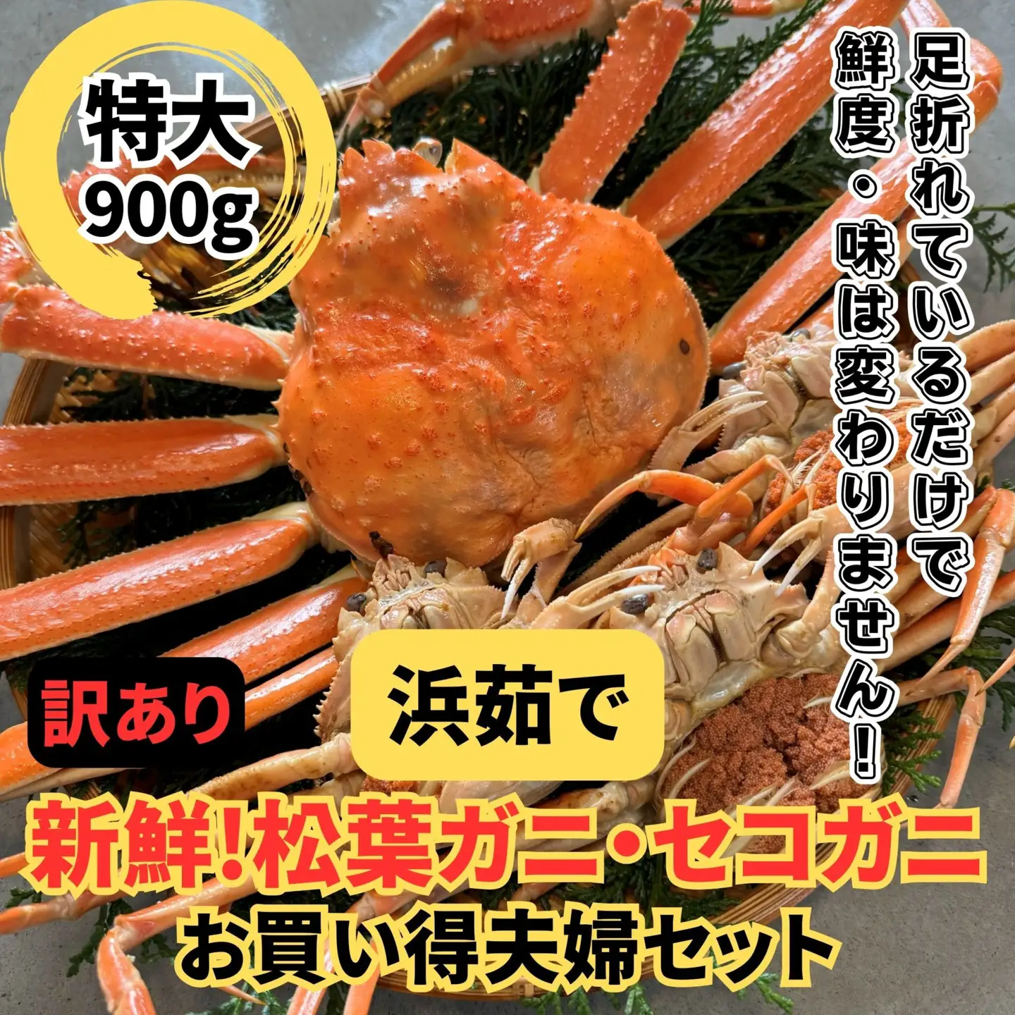 ＜訳あり＞浜茹で！松葉ガニ・セコガニセット｜鳥取網代港 岩美 松葉がに ずわいがに かに ※お届けは2026年11月中旬～【さかなや新鮮組】【22100】