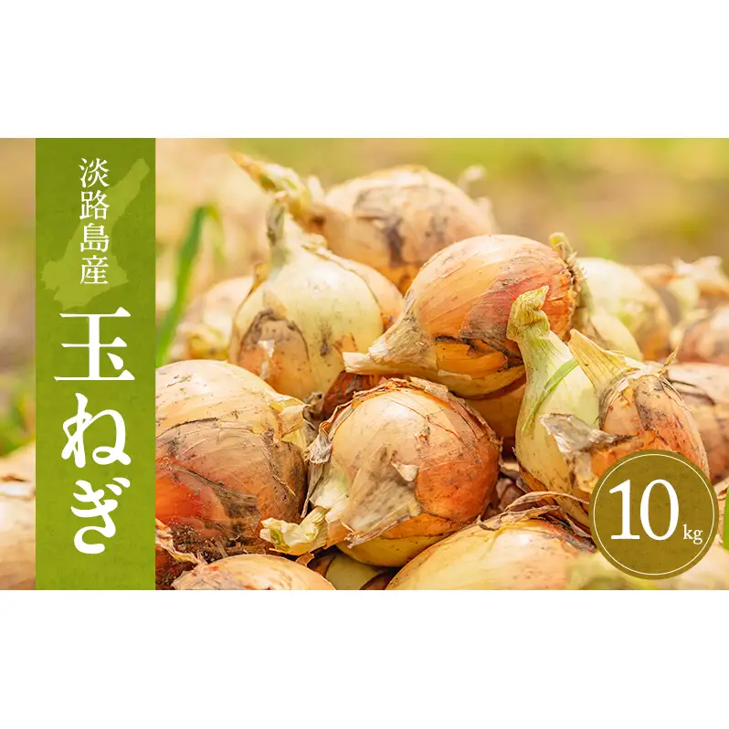淡路島産玉ねぎ　10kg　たまねぎ タマネギ 玉葱 吊り玉 秀品 野菜 新鮮 長持ち カレー シチュー バーベキュー スープ 兵庫県 洲本市 淡路島