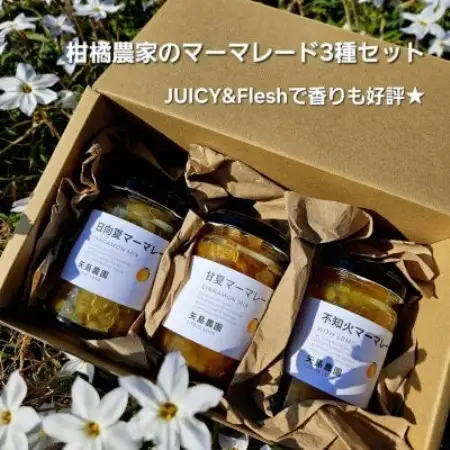 ジューシー＆フレッシュで香り好評!相模湾を望む畑より柑橘農家の身体に優しいマーマレード3種セット!【1738159】