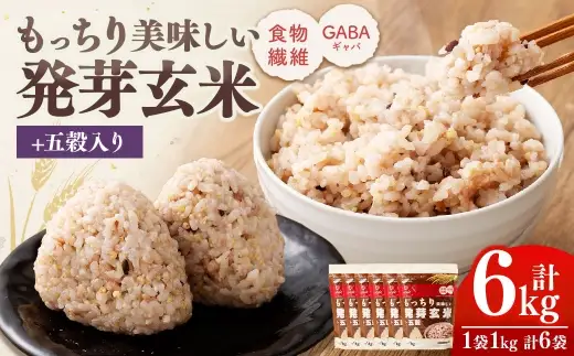 【はくばく】もっちり美味しい発芽玄米＋五穀 1,000g×6袋 雑穀 雑穀米 コメ 米 国産 ご飯 ごはん 雑穀ごはん 五穀 発芽玄米