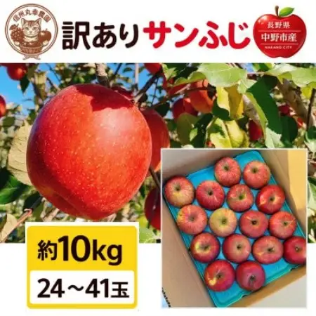 生産農家直送　長野県中野市産　サンふじ　訳ありご家庭用　約10kg(24～41玉)【1716053】