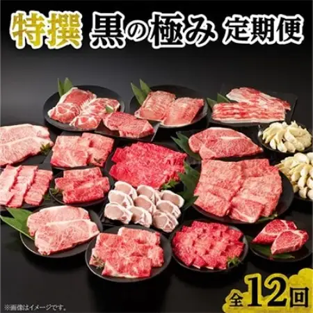 【発送月固定定期便】特選　黒の極み定期便全12回【配送不可地域：離島】【4014770】