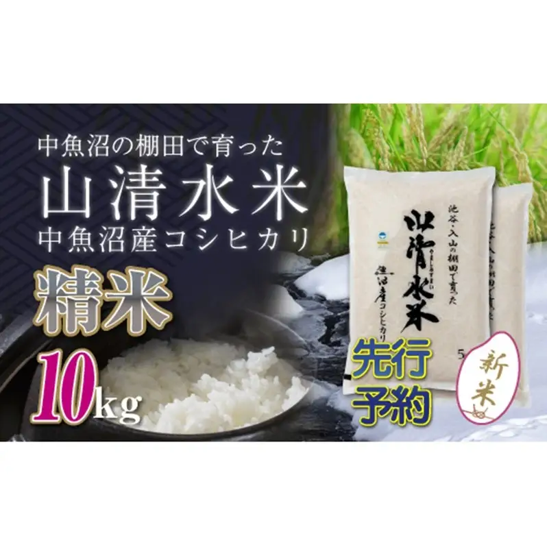 【令和8年産 先行予約】新潟県魚沼産コシヒカリ「山清水米」精米10kg