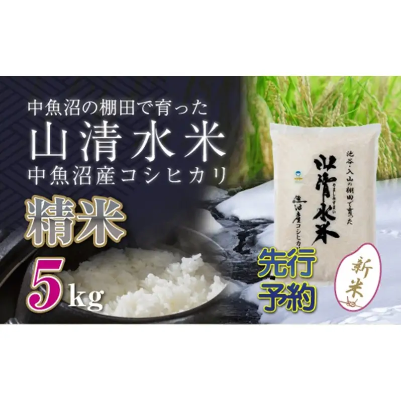 【令和8年産 先行予約】新潟県魚沼産コシヒカリ「山清水米」精米5kg