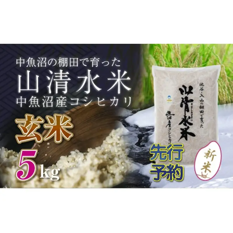【令和8年産 先行予約】新潟県魚沼産コシヒカリ「山清水米」玄米5kg