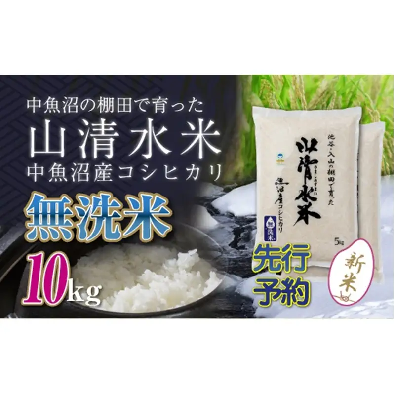 【令和8年産 先行予約】新潟県魚沼産コシヒカリ「山清水米」無洗米10kg