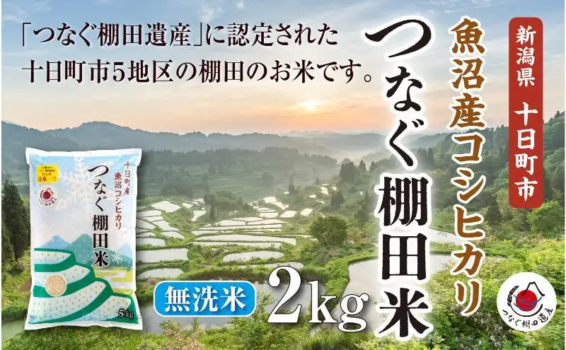 【令和8年産 先行予約】無洗米2kg　新潟県十日町市魚沼産コシヒカリ「つなぐ棚田米」 米 こしひかり 無洗米 十日町市