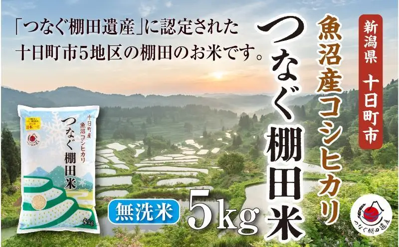 【令和8年産 先行予約】無洗米5kg　新潟県十日町市魚沼産コシヒカリ「つなぐ棚田米」 米 こしひかり 無洗米 十日町市