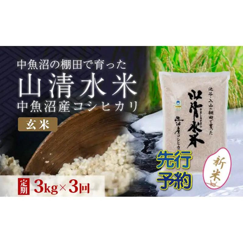 【令和8年産 先行予約】【定期便／全3回】玄米3kg 新潟県魚沼産コシヒカリ「山清水米」