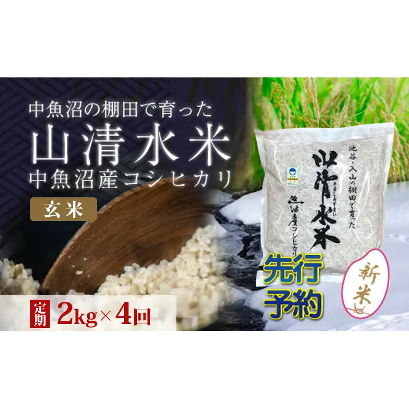 【令和8年産 先行予約】【定期便／全4回】玄米2kg 新潟県魚沼産コシヒカリ「山清水米」