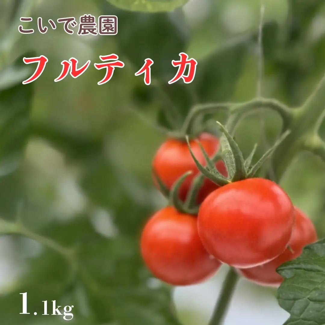 こいで農園　フルーツトマト（フルティカ）　1.1kg