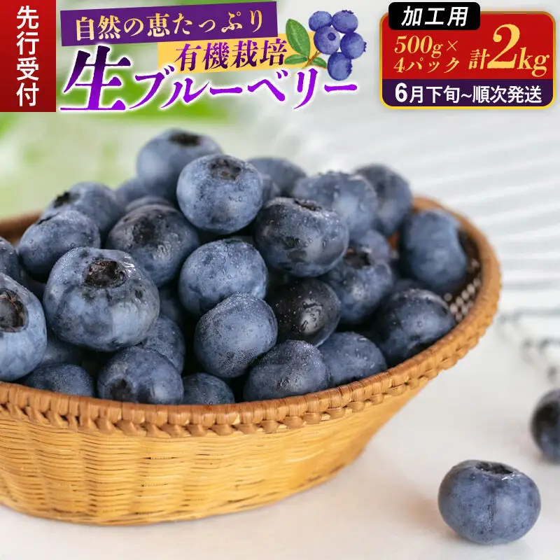 《先行受付》【加工用】田口農園 秋田県産 ブルーベリー 生 合計2kg（500g×4パック）