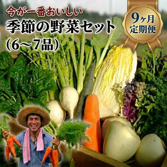 【定期便9回】季節の野菜セット（6～7品）