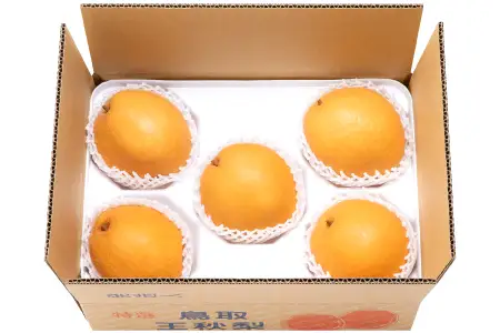 【期間限定】たにがみ農園の王秋 2.5キロ箱　(鳥取県産)